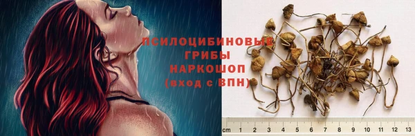 гидропоника Аркадак