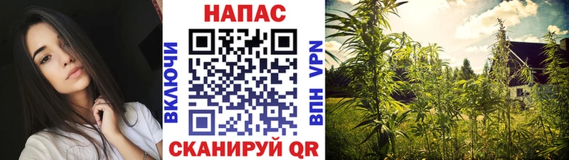 Каннабис конопля  Гремячинск 